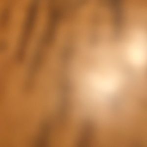 Meet your Posher, Isabel